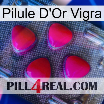 Vigra Gold Pill 13